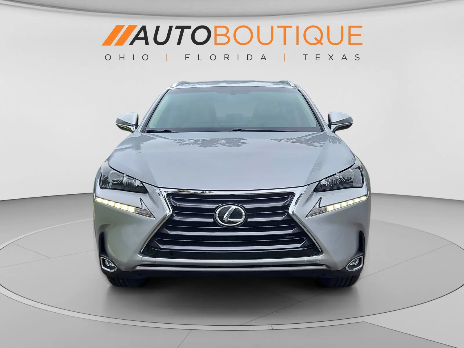 Lexus NX photo 9