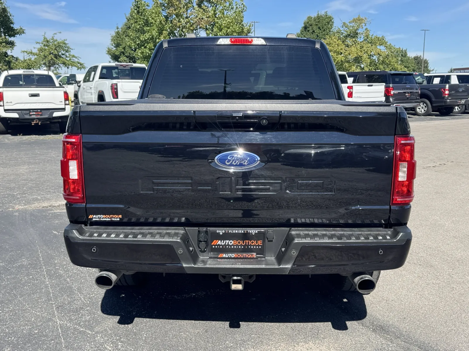 Ford F-150 photo 8