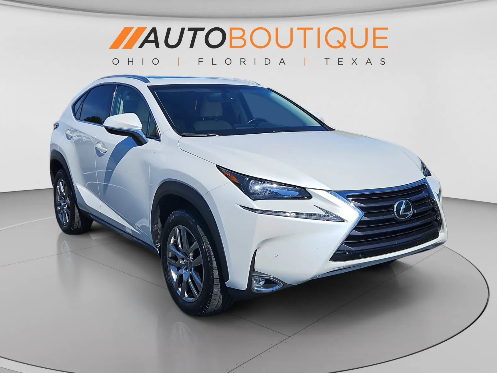 Lexus NX photo 8