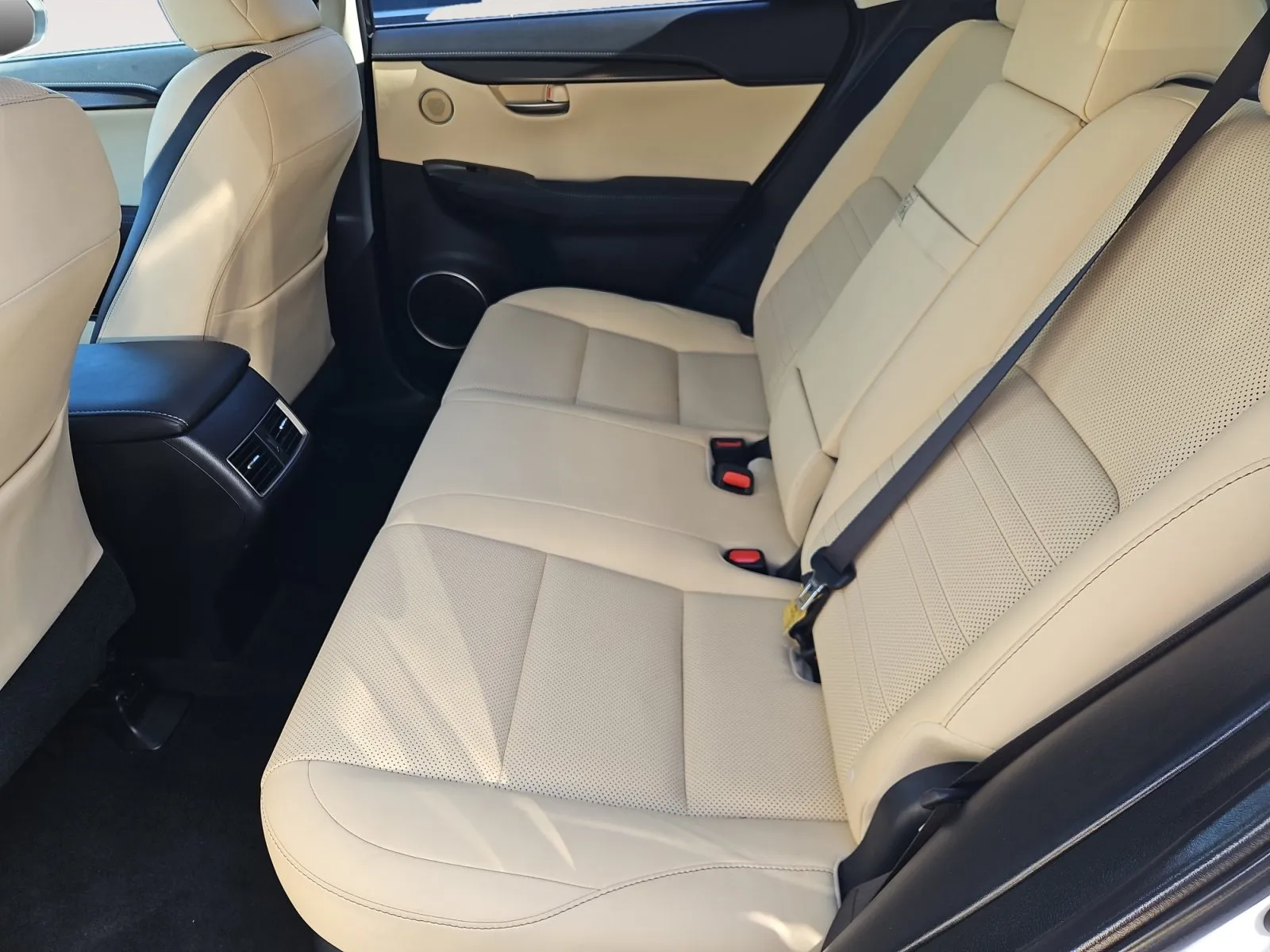 Lexus NX photo 14