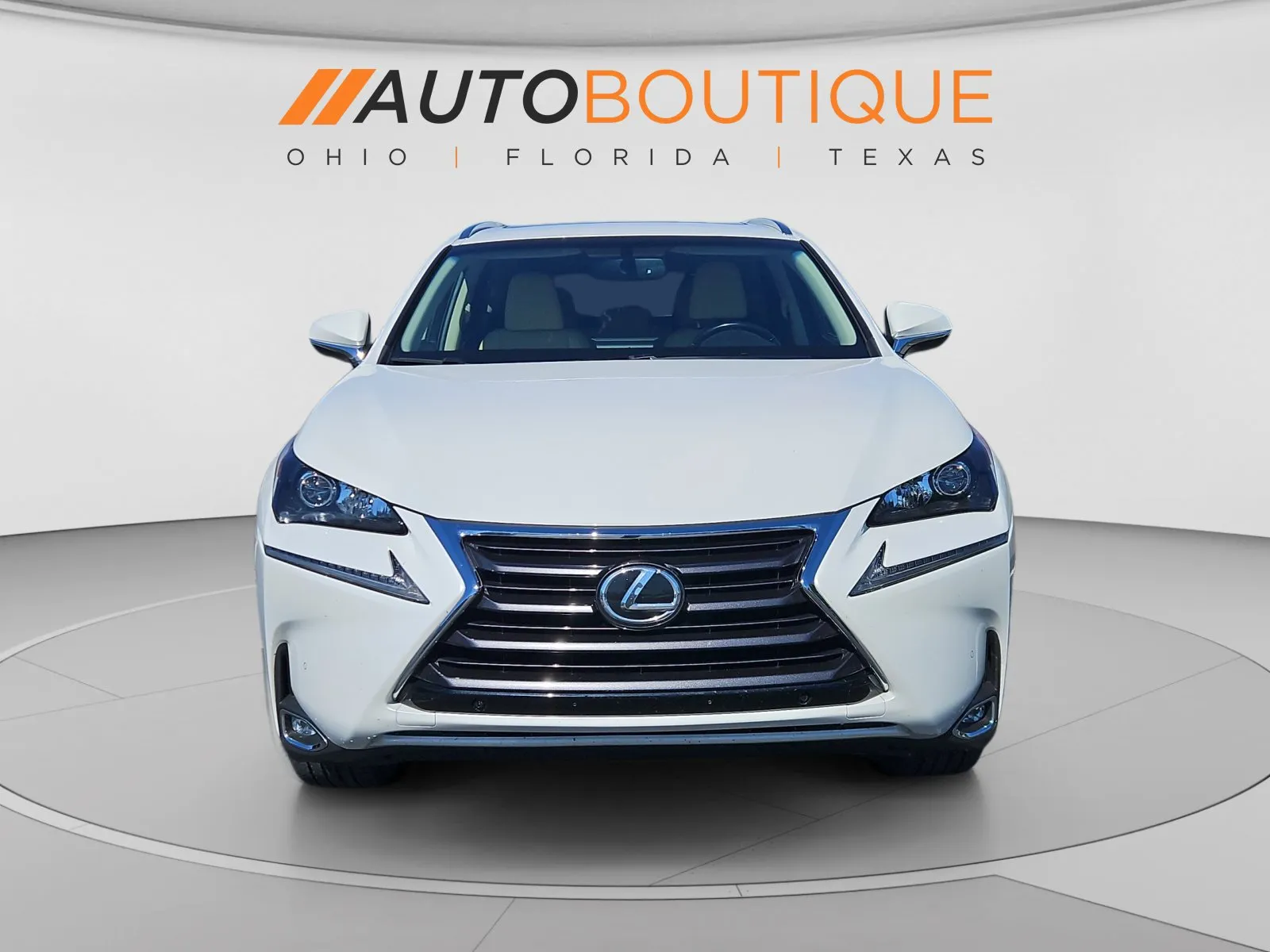Lexus NX photo 9