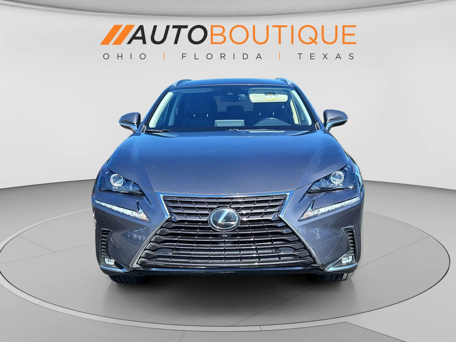 Lexus NX photo 8