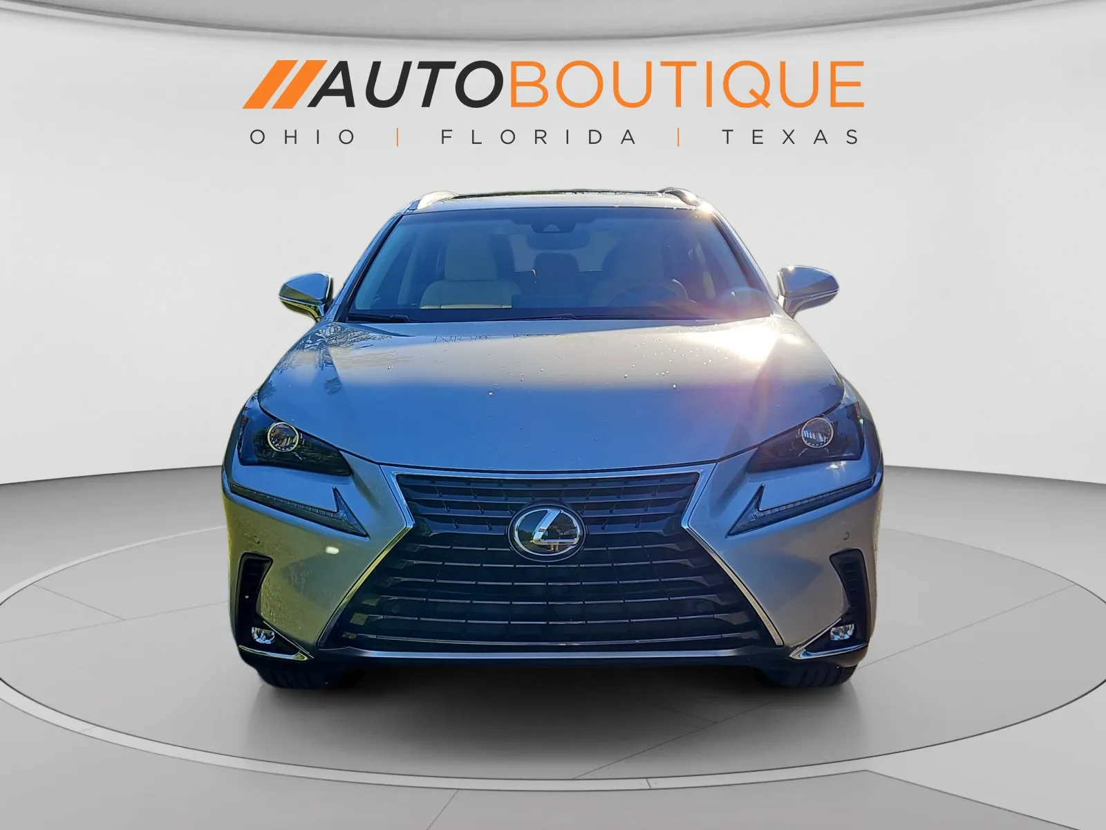 Lexus NX photo 8