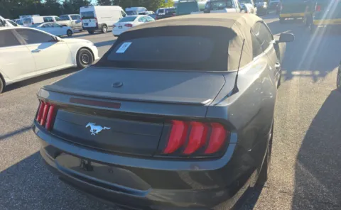 More photos of 2019 Ford Mustang EcoBoost at Auto Boutique Ohio, OH