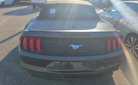 More photos of 2019 Ford Mustang EcoBoost at Auto Boutique Ohio, OH