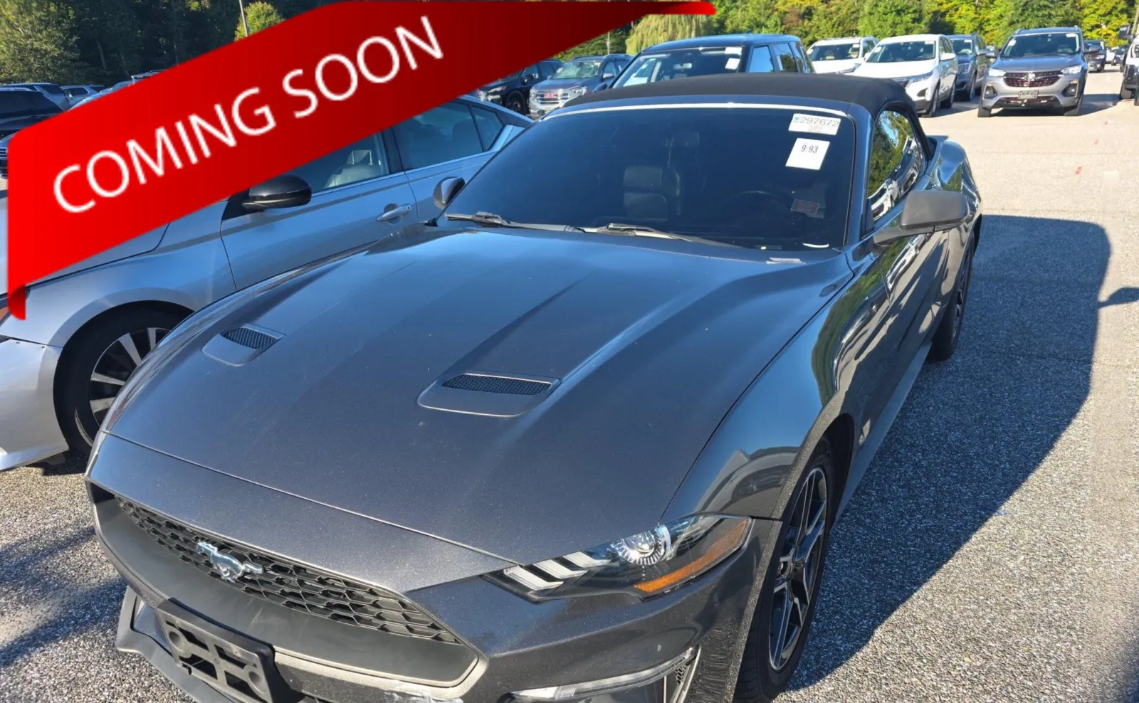 Gray 2019 Ford Mustang EcoBoost for sale in Columbus, OH