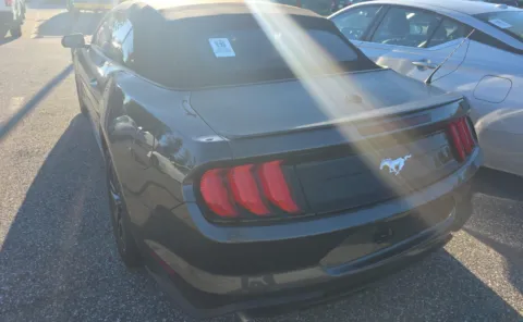 Another view of 2019 Ford Mustang EcoBoost for sale in Columbus, OH at Auto Boutique Ohio