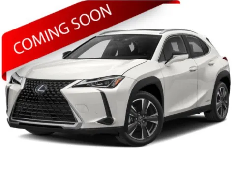 Silver 2019 Lexus UX 250h for sale in Columbus, OH