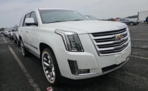 Another view of 2019 Cadillac Escalade Platinum for sale in Columbus, OH at Auto Boutique Ohio