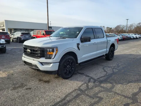 Gray 2023 Ford F-150 XLT for sale in Terre Haute, IN