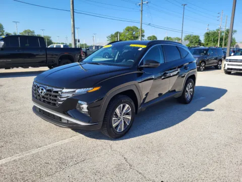 Black 2023 Hyundai Tucson Hybrid Blue for sale in Terre Haute, IN