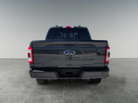More photos of 2021 Ford F-150 LARIAT at Dorsett Nissan, IN