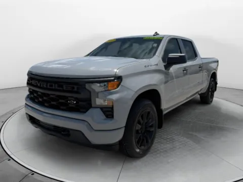Gray 2024 Chevrolet Silverado 1500 Custom for sale in Terre Haute, IN