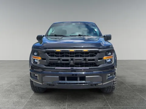 Photos of 2025 Ford F-150 XLT for sale in Terre Haute, IN at Dorsett Mitsubishi