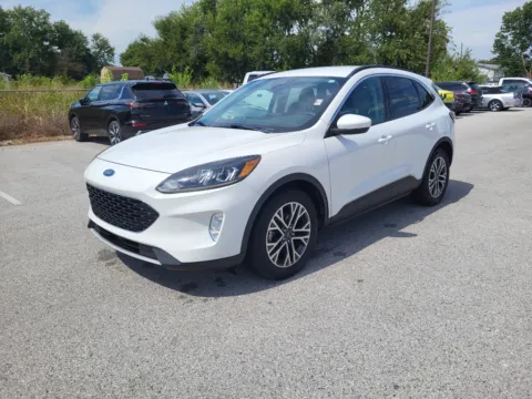 White 2020 Ford Escape SEL for sale in Terre Haute, IN