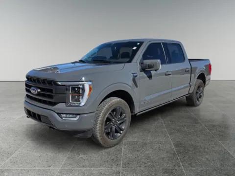 Gray 2021 Ford F-150 LARIAT for sale in Terre Haute, IN