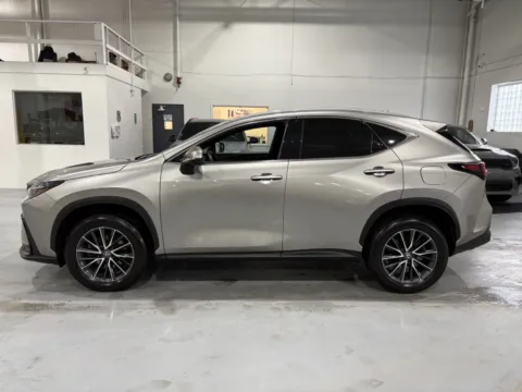 More photos of 2024 Lexus NX 350 Premium at 8-11 Motor Group, Inc., MI