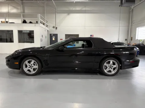 More photos of 2001 Pontiac Firebird Trans Am at 8-11 Motor Group, Inc., MI