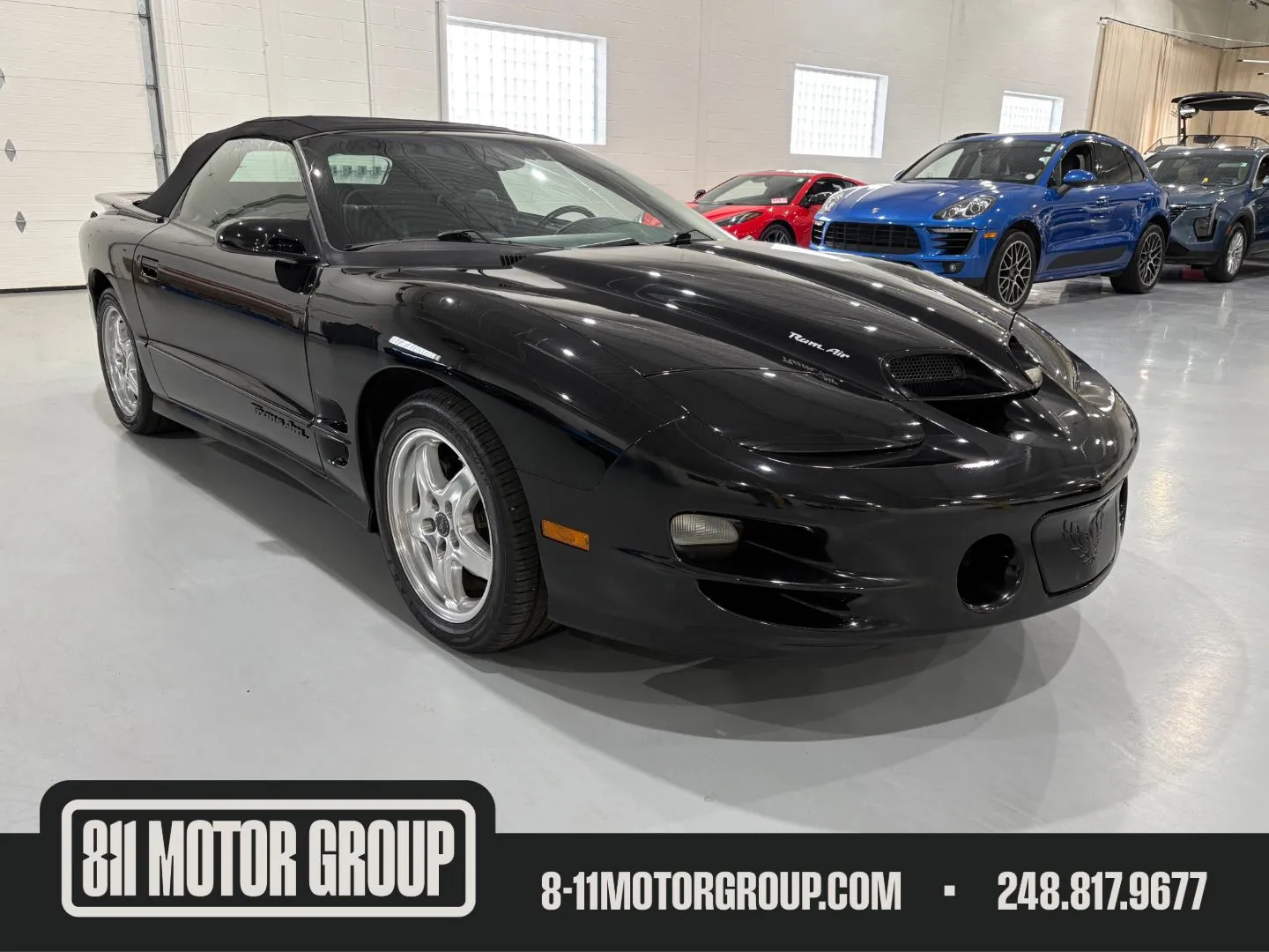 2001 Pontiac Firebird Trans Am's photo