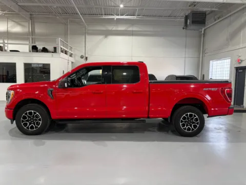 More photos of 2023 Ford F-150 XLT at 8-11 Motor Group, Inc., MI
