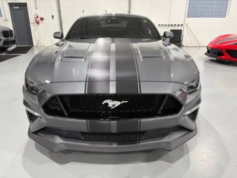 Photos of 2021 Ford Mustang GT Premium Fastback for sale in Troy, MI at 8-11 Motor Group, Inc.