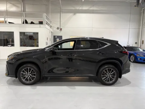 More photos of 2024 Lexus NX 350 Premium at 8-11 Motor Group, Inc., MI