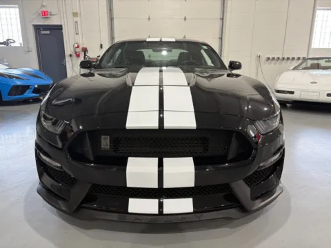 Photos of 2017 Ford Shelby GT350 for sale in Troy, MI at 8-11 Motor Group, Inc.
