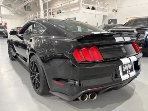 More photos of 2017 Ford Shelby GT350 at 8-11 Motor Group, Inc., MI
