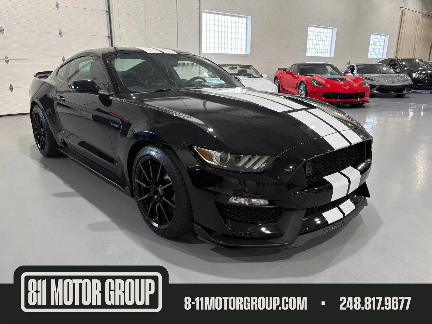 Black 2017 Ford Shelby GT350 for sale in Troy, MI
