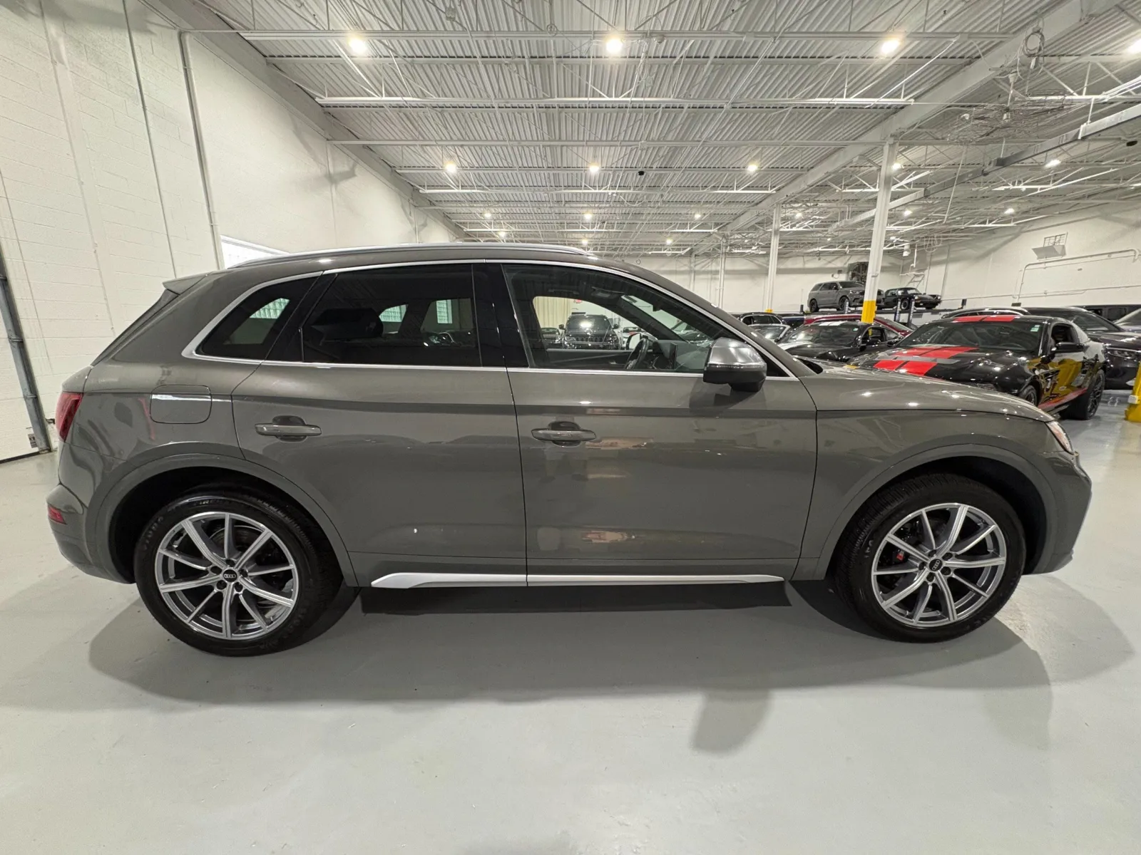 2023 Audi SQ5 Premium Plus - Photo 8