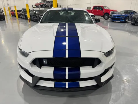 Photos of 2016 Ford Mustang Shelby GT350 for sale in Troy, MI at 8-11 Motor Group, Inc.
