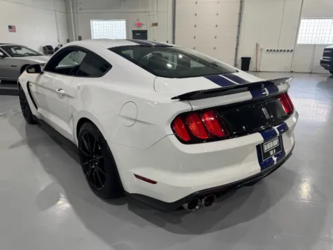 More photos of 2016 Ford Mustang Shelby GT350 at 8-11 Motor Group, Inc., MI