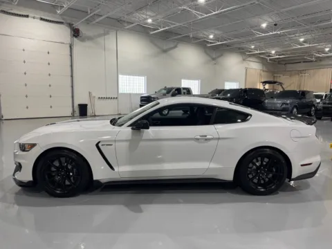 More photos of 2016 Ford Mustang Shelby GT350 at 8-11 Motor Group, Inc., MI