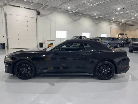 More photos of 2020 Ford Mustang GT Premium at 8-11 Motor Group, Inc., MI