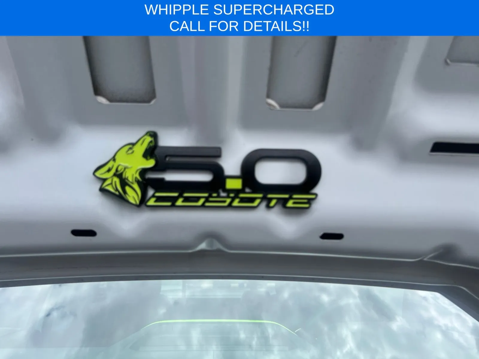 2024 Ford F-150 XL — photo 15