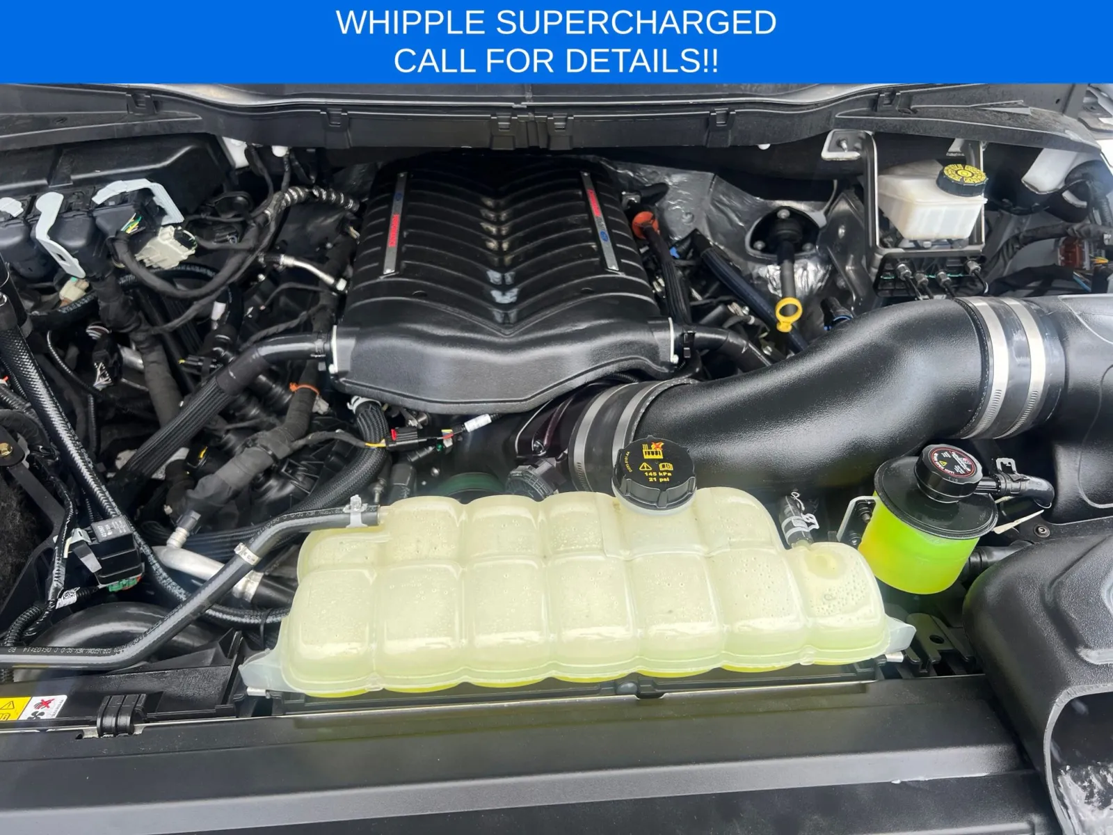 2024 Ford F-150 XL — photo 13