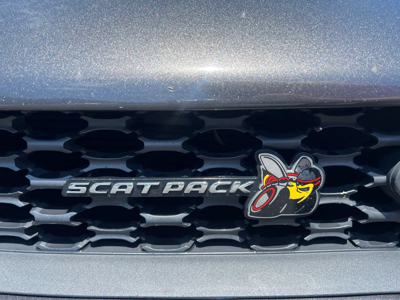 2022 Dodge Charger R T Scat Pack — photo 10