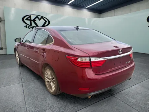 More photos of 2015 Lexus ES 350 at 4M Autoplex - Industrial Blvd, TX