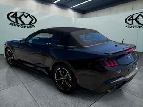 More photos of 2025 Ford Mustang EcoBoost Premium at 4M Autoplex - Industrial Blvd, TX