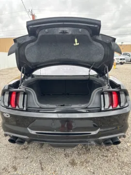 More photos of 2019 Ford Mustang GT at 4M Autoplex - Industrial Blvd, TX