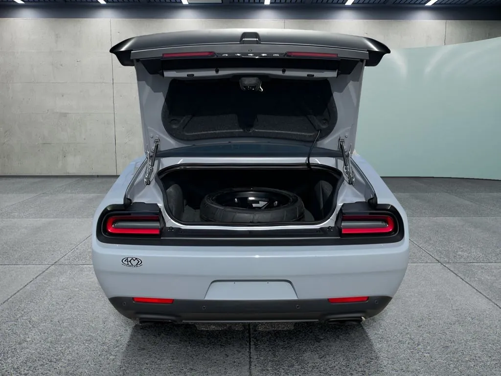Dodge Challenger photo 9