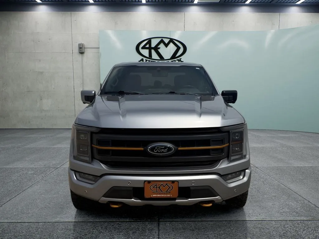 2023 Ford F-150 Tremor - Photo 9
