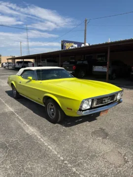 Unknown 1973 Ford Mustang for sale in Abilene, TX