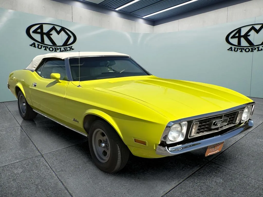 Unknown 1973 Ford Mustang for sale in Abilene, TX