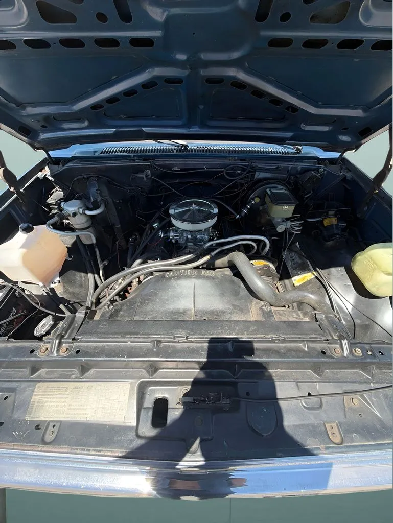 Chevrolet C/K 10 photo 10