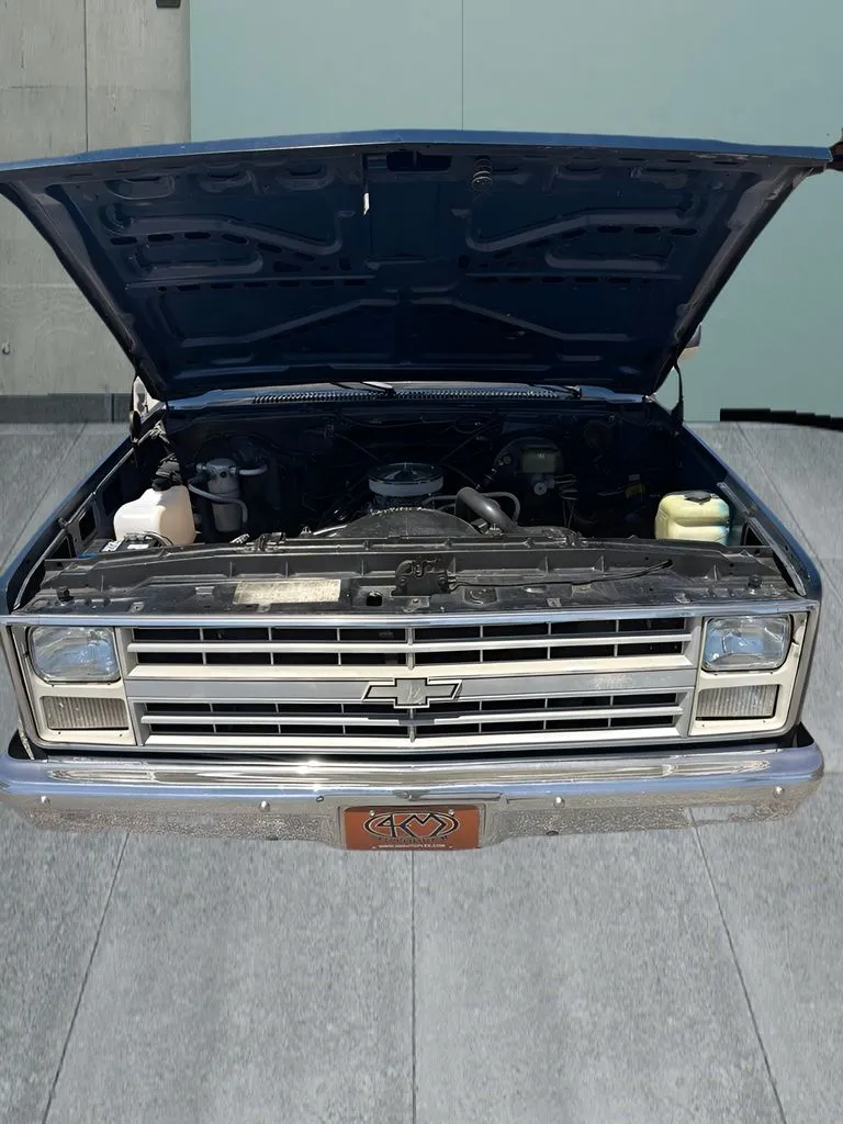 Chevrolet C/K 10 photo 9
