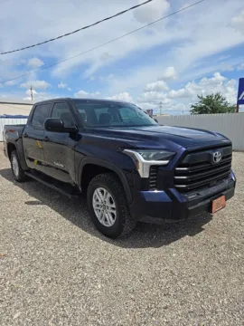 Blue 2022 Toyota Tundra SR5 for sale in Abilene, TX