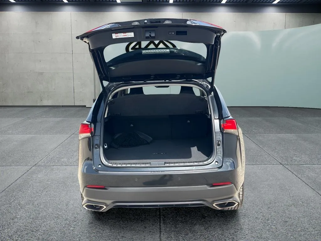 Lexus NX photo 9