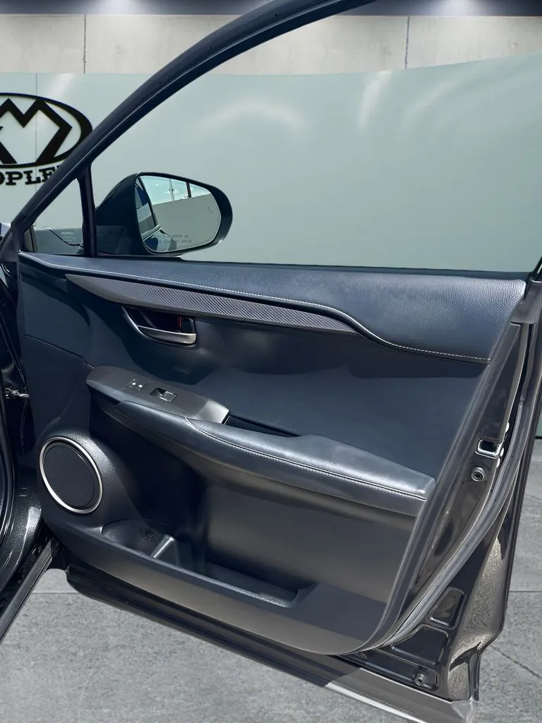 Lexus NX photo 18