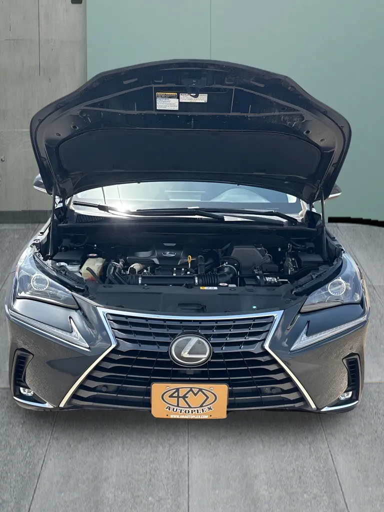 Lexus NX photo 10